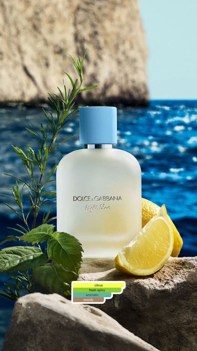 Dolce & Gabbana Light Blue Eau de Toilette for Men – 2.5 oz | Fresh Citrus Cologne