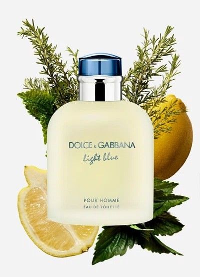 Dolce & Gabbana Light Blue Eau de Toilette for Men – 2.5 oz | Fresh Citrus Cologne